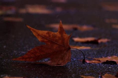 夢見死去的親人 解夢|夢見死去的親人